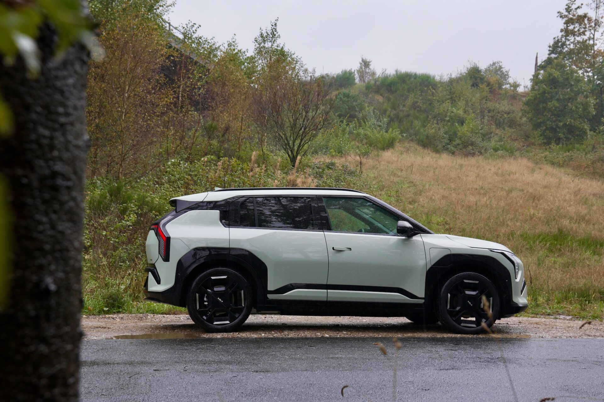 Sidoprofil av bilen parkerad vid en fuktig väg omgiven av grönska.